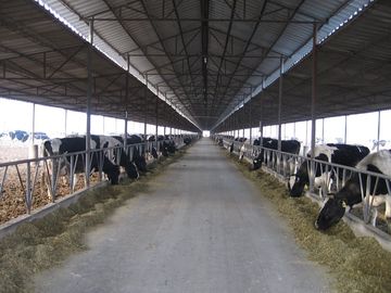 Chiny Prefabrykowane systemy ram stalowych Hodowla krów / koni z paneli dachowych dostawca