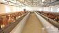 Prefabrykowane systemy ram stalowych Hodowla krów / koni z paneli dachowych dostawca